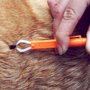 DE-TICKER II with clip