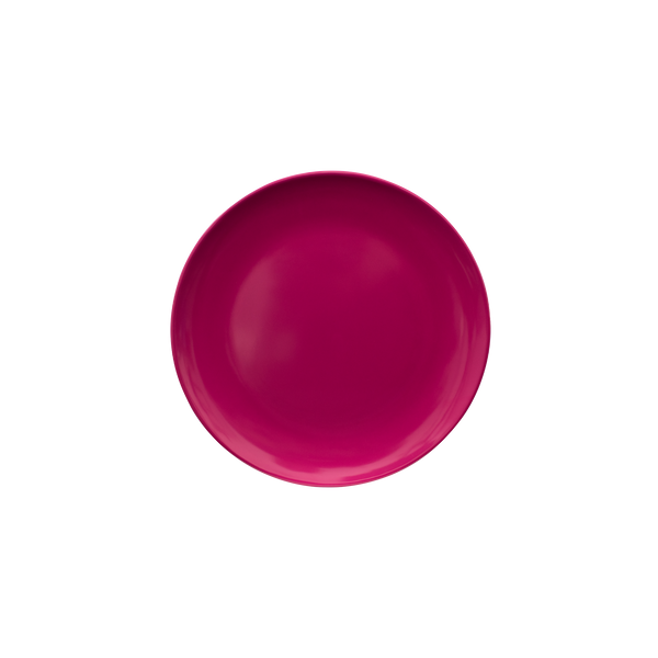 Serroni Melamine Plate 25cm