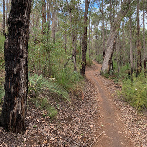 Munda Biddi Trail Maps
