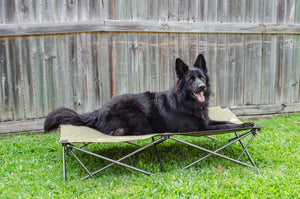 Outdoor Connection Folding Dog Bed