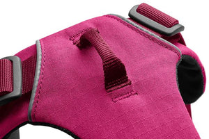 Ruffwear Front Range Harness - Hibiscus Pink
