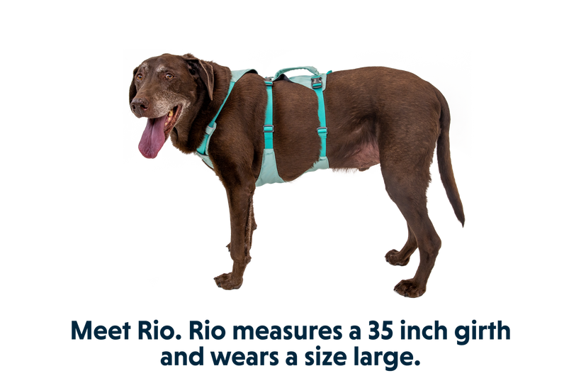 Ruffwear Flagline Harness