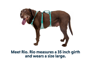 Ruffwear Flagline Harness