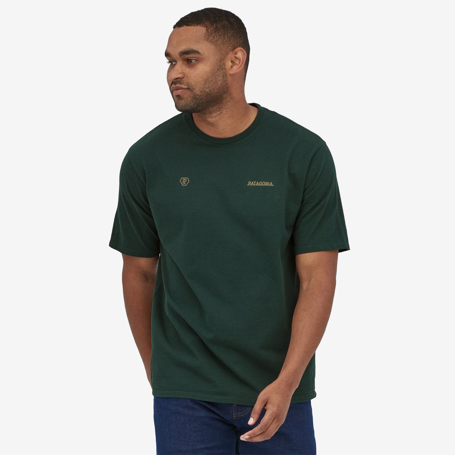 Patagonia green t shirt online