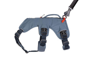 Ruffwear Web Master Dog Harness