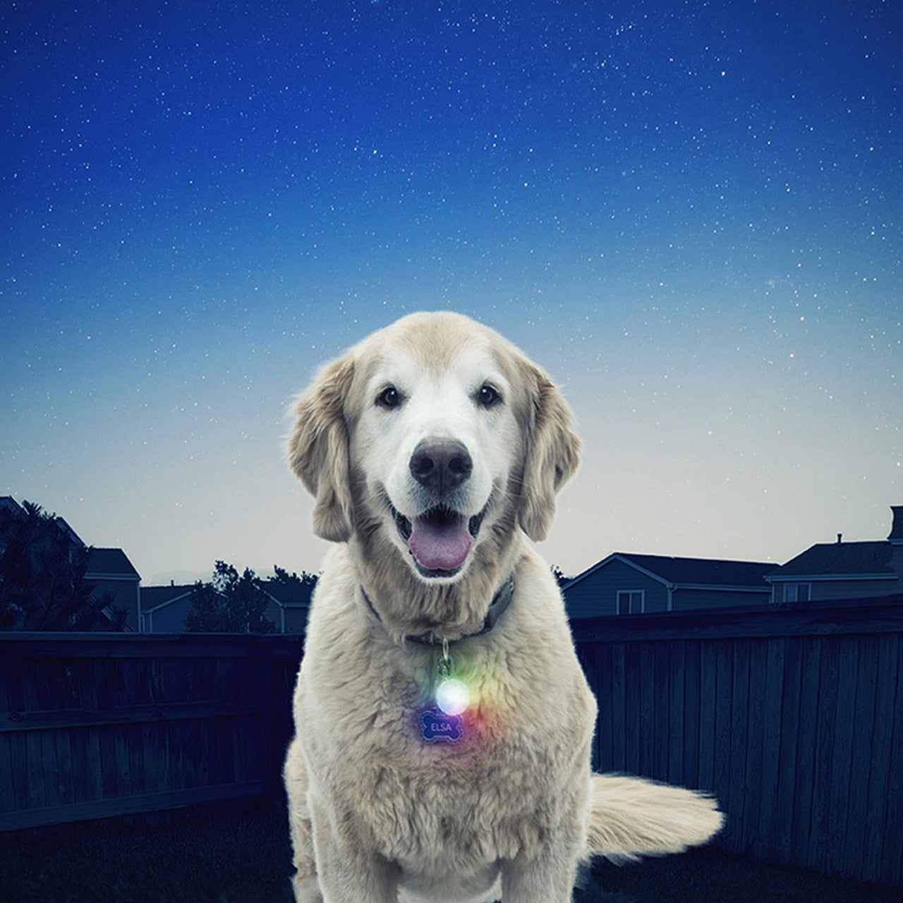 Nite ize store dog collar light