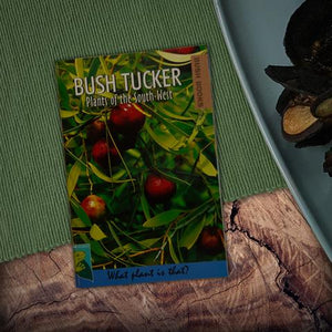 Bush Books Bush Tucker Plants of the South-West
